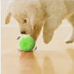Automatische Bewegung Anxiolytic Active Rolling Ball