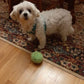 Automatische Bewegung Anxiolytic Active Rolling Ball
