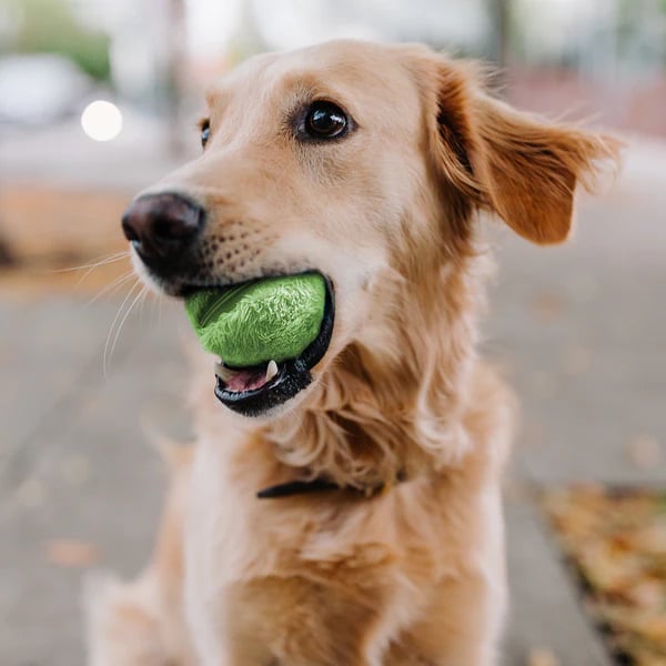 Automatische Bewegung Anxiolytic Active Rolling Ball