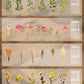 Großformatige getrocknete Blumen Aufkleber Set