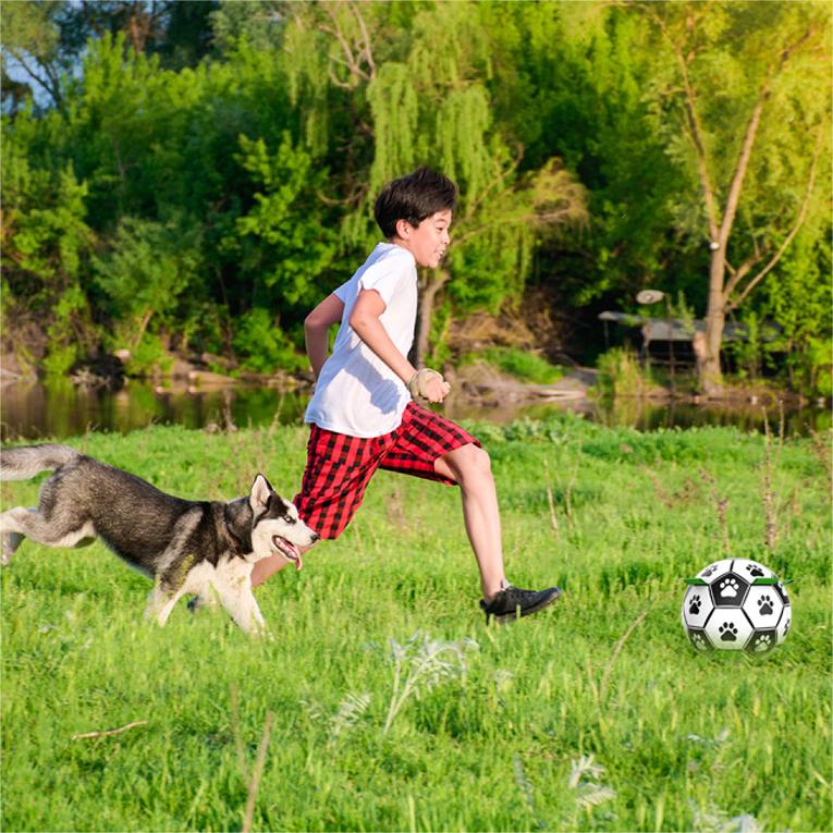 Interaktiver Hundefußball