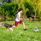 Interaktiver Hundefußball