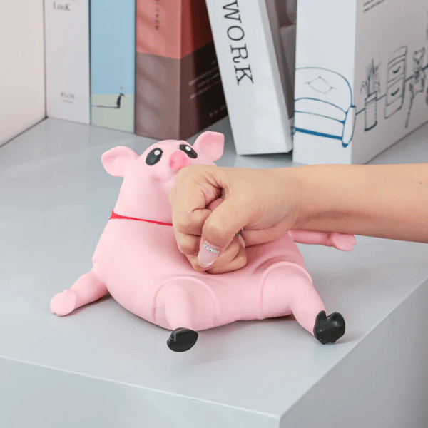 🔥Schweinchen Squeeze Toy | Acknowledgen