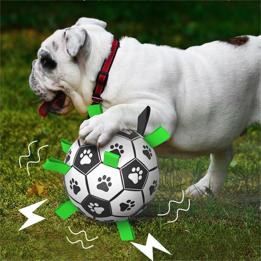 Interaktiver Hundefußball